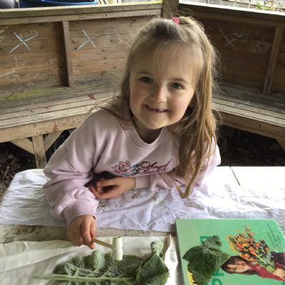 Term 5 Forest School